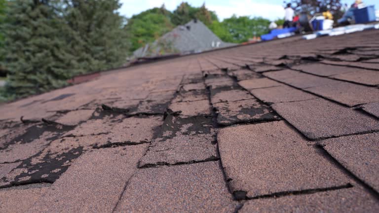 Best Roof Maintenance and Cleaning  in Rochester, MN