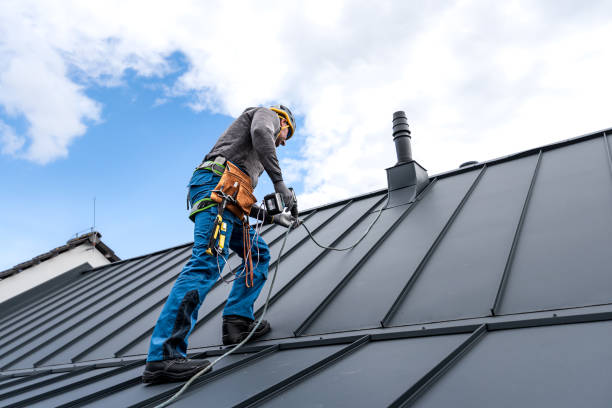 Best Gutter Installation and Repair  in Rochester, MN